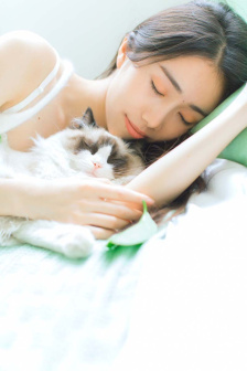 摸摸鱼战争模拟器